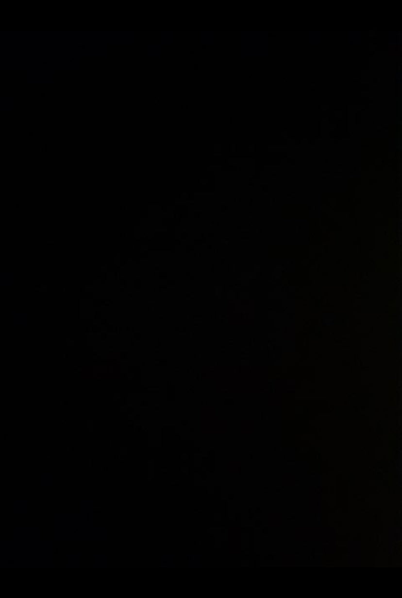 Herstal Design  VIP/Loops væglampe